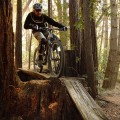 Explore the Different Mountain Biking Trails in Aptos CA